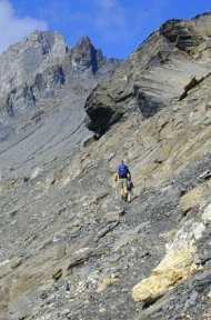 the path to the col